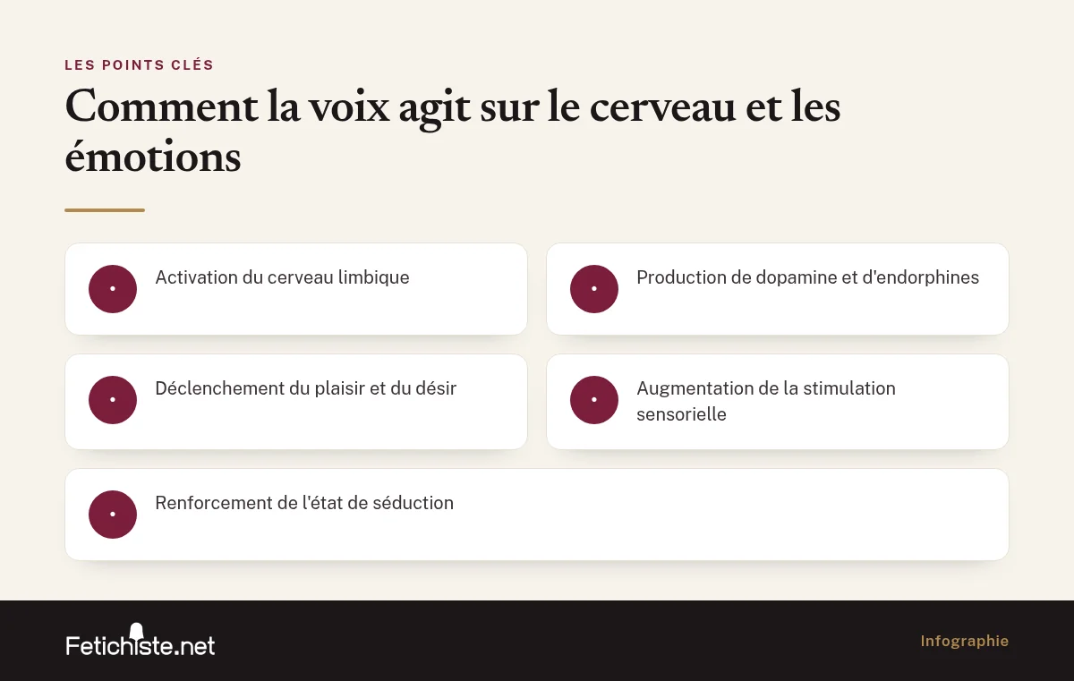 Infographie : Comment la voix agit sur le cerveau et les émotions